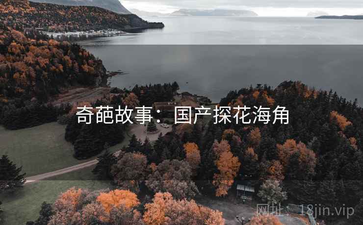 奇葩故事：国产探花海角