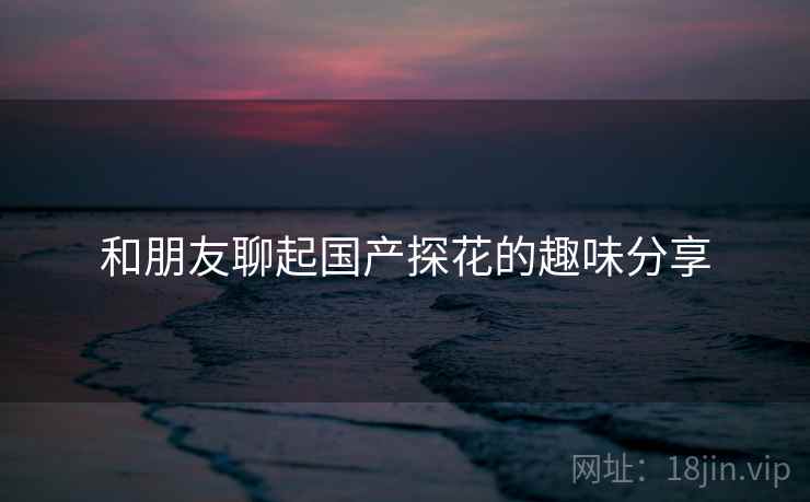 和朋友聊起国产探花的趣味分享