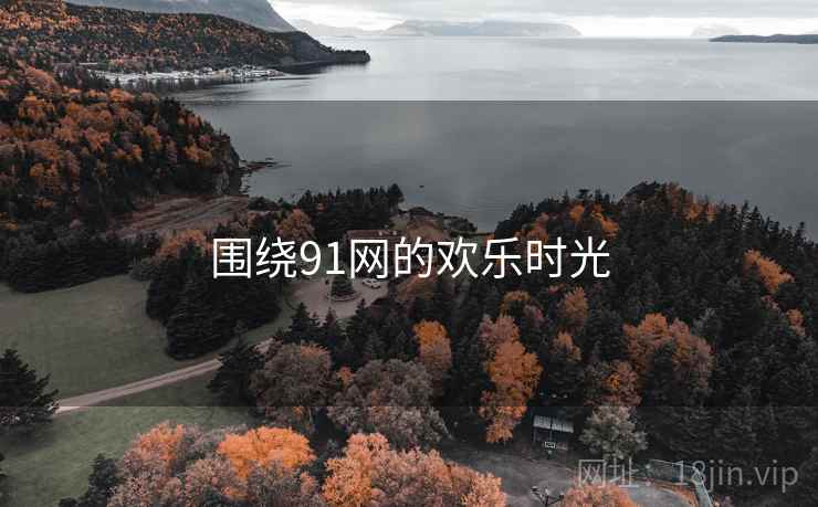 围绕91网的欢乐时光  第2张