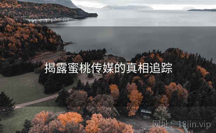 揭露蜜桃传媒的真相追踪