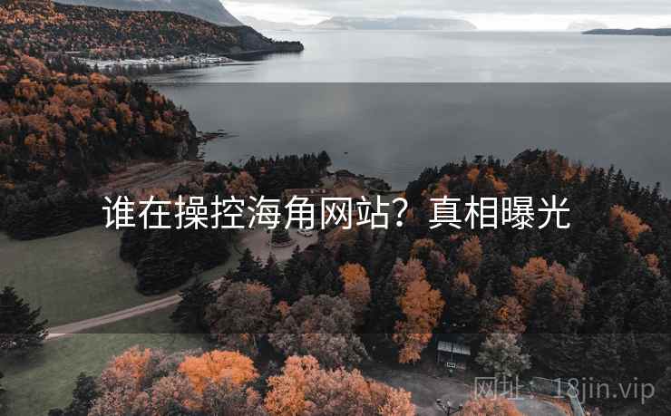 谁在操控海角网站?真相曝光