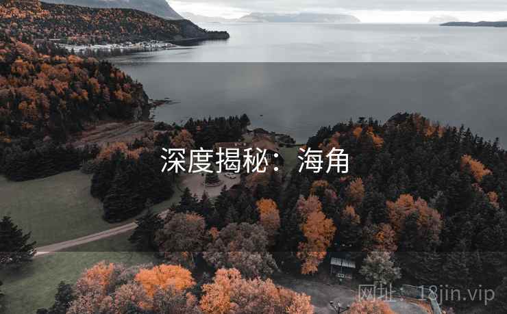 深度揭秘:海角