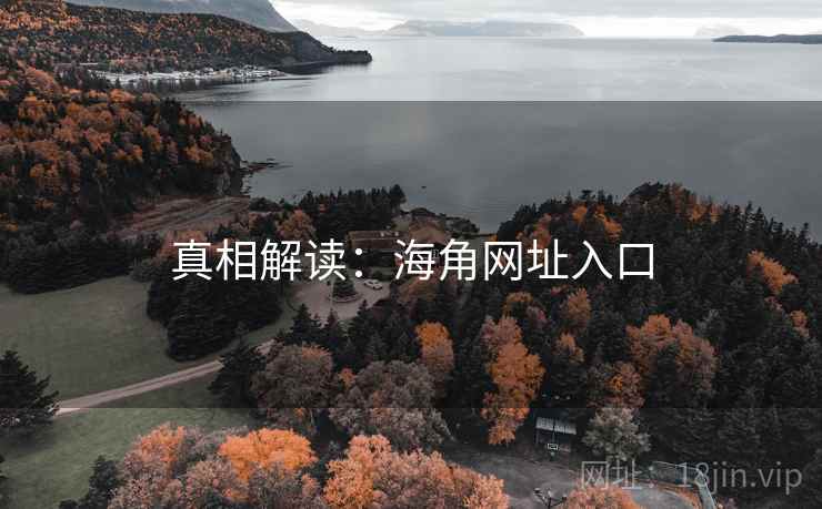 真相解读:海角网址入口
